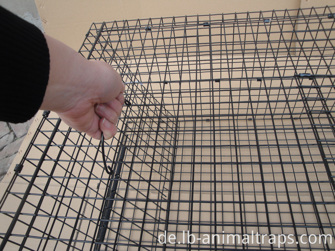 Werksdirekte Nagetier Tier Humane Live -Trap -Mäuse Rattenkontrolle Catch Cage